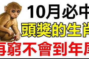 10月之內，必中頭獎，再窮不會到年尾的3個生肖！