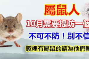 屬鼠人：10月需要提防一個人，不可不防！別不信！家裡有屬鼠的請為他們轉發