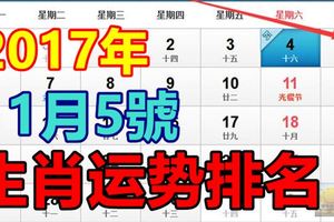 11月5號生肖運勢排名