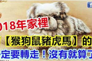 2018年家裡有【猴狗鼠豬虎馬】的人，一定要轉走！沒有就算了。