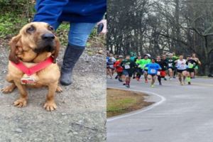 主人只是放她的狗狗去尿尿，沒想到狗狗竟然「意外跑完半程馬拉松」還贏得比賽！