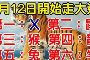 3月12日，開始「走大運」的生肖！第一名是你嗎？