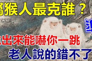 屬猴人最克誰？說出來能嚇你一跳，老人們常說的錯不了！准