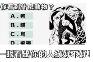 直覺測試：你第一眼看到的是什麼動物？一眼看出你的人緣好不好！