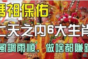 七天之內6大生肖，媽祖保佑，風調雨順，做啥都賺錢！