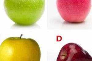 心理測試：選一個蘋果，測你未來是平安享福還是多災多難？