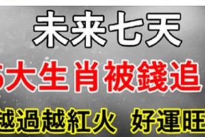 未來七天，6大生肖日子紅紅火火