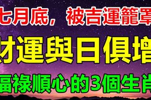 七月底，被吉運籠罩，財運與日俱增，福祿順心的3個生肖