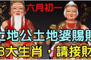 農曆六月初一，土地公土地婆賜財，【8大生肖，請接財】
