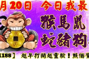 7月20日，經歷我最旺猴馬鼠兔蛇豬狗雞【11188】越早打開越靈驗點個讚吧