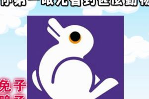 你最先看出什麼動物：測你屬於慢熱還是快熟人？