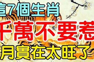 這7個生肖，千萬不要惹，因為他們8月實在太旺了！