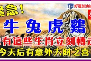 緊急！家有這些生肖立刻轉走，今天後有意外大財之喜