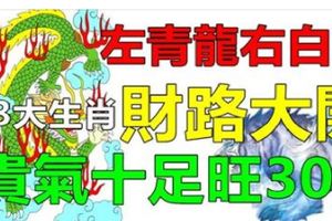 3大生肖馬上財路大開，左青龍右白虎，貴氣十足旺30年！