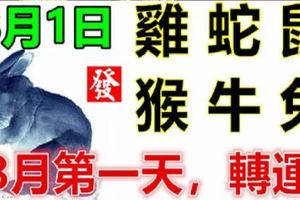 8月1日生肖運勢_雞、蛇、鼠大吉