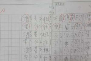 字醜被扣分！小三童重寫到落淚母怒：字體比品行重要？