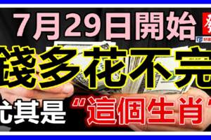 順風順水順財運，福多運多驚喜多，7月29日開始，錢多到根本花不完的生肖