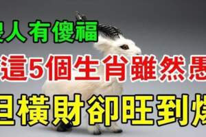 傻人有傻福的生肖，橫財旺到爆