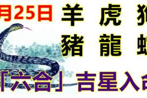 8月25日生肖運勢_羊、虎、狗大吉