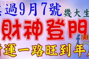 熬過9月7號財神登門，財運一路旺到年底的生肖