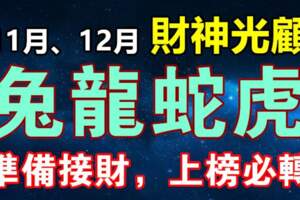 11月、12月四大生肖有意想不到的好運氣