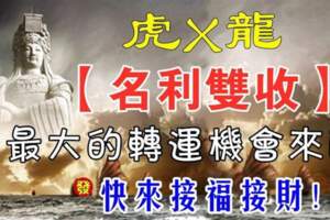 媽祖保佑（虎X龍）11月下旬轉運，名利雙收