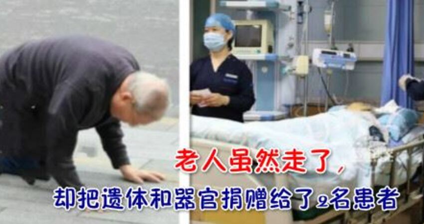 淚目 8旬老人跪倒妻子遺體面前 結婚50年雙雙做出一個決定 幻紫 Fun01 創作分享 淚目 8旬老人跪倒妻子遺體面前 結婚50年雙雙做出一個決定 幻紫 Fun01 創作分享
