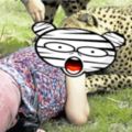 女子在自然保護區遭獵豹撕咬，緊急關頭丈夫竟「拍照」未相救她只好。。。。