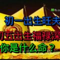 初一出生旺夫命，初五出生福祿深，你是什麼命？