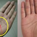 快看看你手掌上有沒有這條「特殊掌紋」！若雙手都有就表示你「命超好」啊！