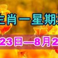 12生肖一星期運程（2017年8月23日—8月29日）