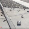 美國猶他州怪事數百隻死鳥從天而降!