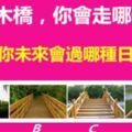 4個木橋，你會走哪個？測出你未來會過哪種日子？