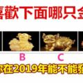 你喜歡下面哪只金豬，測試你在2019年能不能發大財