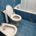 歐洲廁所為什麼「有兩個馬桶」？不是想像中那樣，千萬別坐錯！