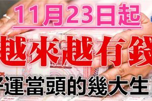 11.23日起，這些生肖好運當頭，洪福齊天！越來越有錢！