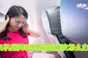 飛機起降時耳朵超痛該怎麼辦？
