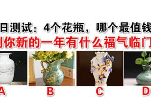 每日測試：4個花瓶，哪個最值錢？測你新的一年有什麼福氣臨門？