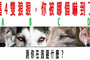 心理學：這4雙狼眼，你被哪個嚇到了？測你在逃避什麼？超級准
