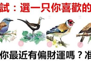 財運測試：選一隻你喜歡的鳥，測你最近有偏財運嗎？