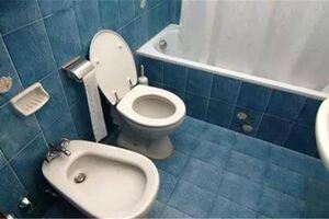 歐洲廁所為什麼「有兩個馬桶」？不是想像中那樣，千萬別坐錯！