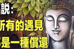 佛說：「前世不欠，今生不見」所有的遇見，都是一種償還