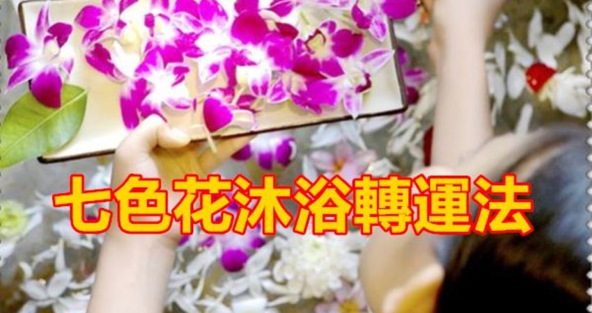 七色花沐浴轉運法 放克大象 Fun01 創作分享