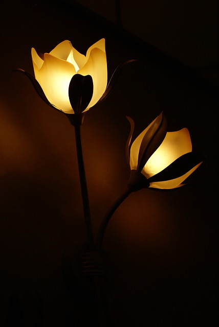 lamp-558122_640.jpg