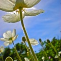 每個人的生活都需要多一點「恰到好處」