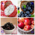 心理測試：4種水果，哪種最甜？測你和他的甜蜜指數有多高！
