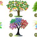 心理測試：性格測試，選擇一顆樹來測試你的主要性格特徵！未免太準