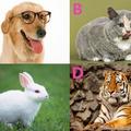 心理測試：選一種喜歡的動物，測出你的個性，簡直准翻了！