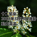 十二星座2018年3月15日運勢：動力滿滿