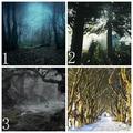 心理測試：哪一片森林讓你覺得陰冷，測出你內心深處最害怕什麼！